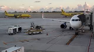 Spirit Airlines Flight Tickets Our Best Price at CheapOair