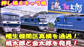 【EF210だらけ】幡生機関区横を通過する115系普通列車の窓を開けて動画を撮ってみた【EF210形 0番台＆300番台 押し桃キャラ桃原色塗装・EH500形金太郎】