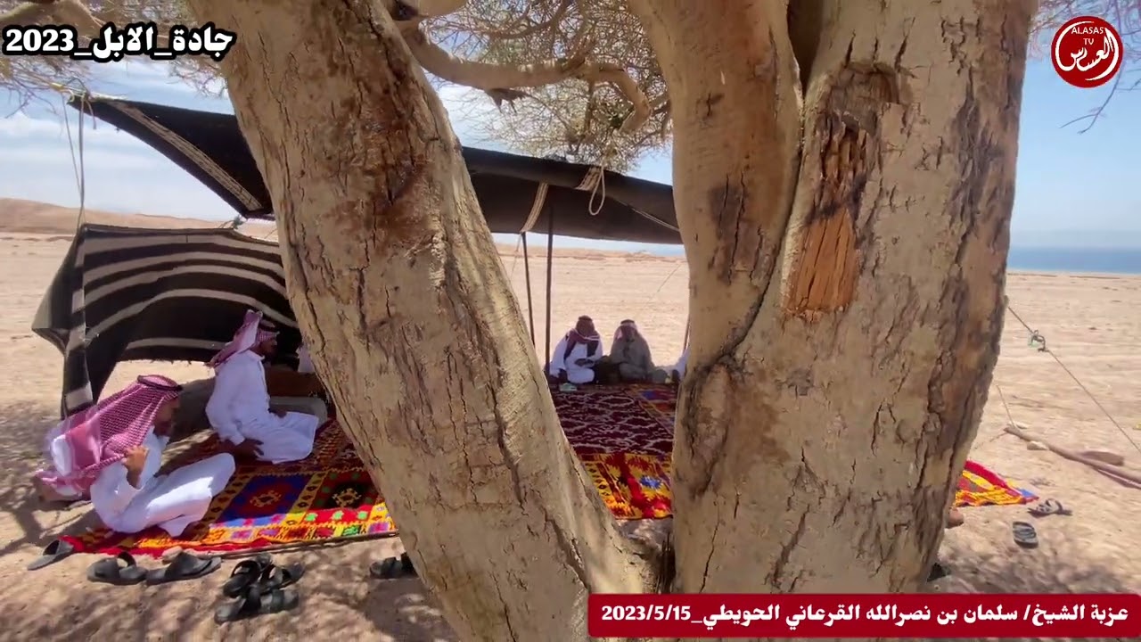 فرحة اهالي تبوك عزبة / سلمان بن نصرالله الحويطي