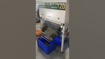 Garlic Color Sorter Machine: Mark Color Sorter / ☎️ Call +919994399996 /+91 9600662478