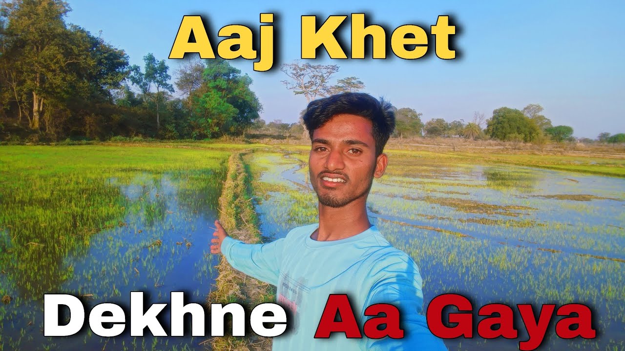 Hamara khet 😊 || my new vlog #ashoksahoovlog [ Day 12  ] 