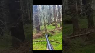 Clean &amp; Beautiful Shot | Deer Hunting at Its Finest #deerhunt #hunting #animals #shorts #ytshorts