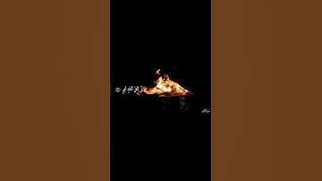 وَیلࣱ لّكلِّ أَفّاكٍ أَثیمࣲ 🥺| سورة الجاثية | تلاوة هادئة وخاشعة |حالات | تلاوة كاملة في أول تعليق⬅️