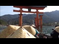 大鳥居をくぐって嚴島神社を参拝!