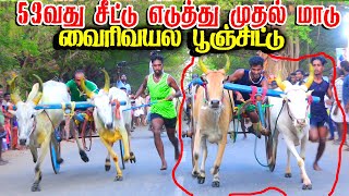 புதுக்கோட்டை(மா) வைரிவயல் பூஞ்சிட்டு 2 பந்தயம்