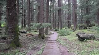 Take a walk in the nature park of Manali (Walkthrough Video)