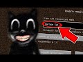 НИКОГДА НЕ ИГРАЙ НА СИДЕ МУЛЬТЯШНЫЙ КОТ В МАЙНКРАФТ ! CARTOON CAT SCP 1923 MINECRAFT СТРАШНЫЙ СИД