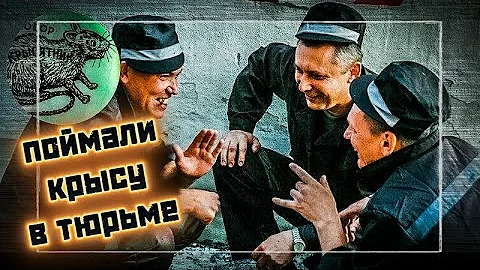 ПОЙМАЛИ КРЫСУ НА ЗОНЕ