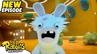 Mad Rabbid and the secret of the flying submarine (S04E01) | RABBIDS INVASION | Cartoon for Kids