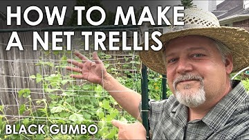 How to Make a Net Trellis || Black Gumbo
