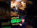 पत्ता डूबा तो भून गया - यह नदी कितनी खतरनाक है #DangerousNature
