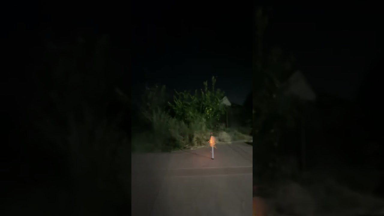 Flying pigs demo🚀🧨.