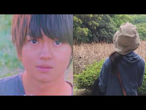 [everysing] 点描の唄 (feat. 井上苑子)