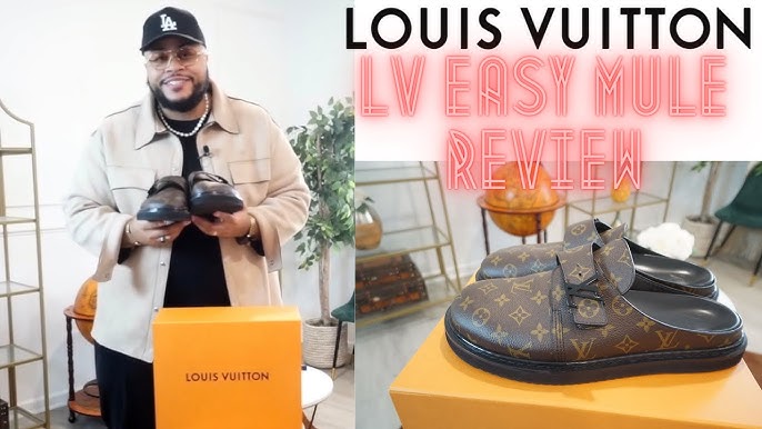 Louis Vuitton Cosy Comfort Clog Monogram