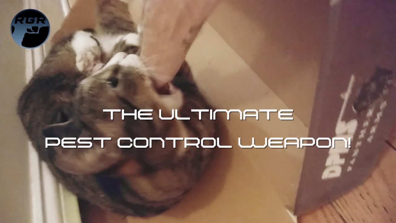 The Ultimate Pest Control Weapon! - YouTube