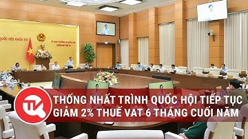 Thống nhất trình Quốc hội tiếp tục giảm 2% thuế VAT 6 tháng cuối năm | Truyền hình Quốc hội Việt Nam