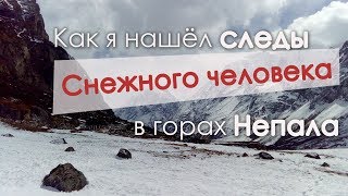 Как я нашёл следы Снежного человека в Гималаях Непала