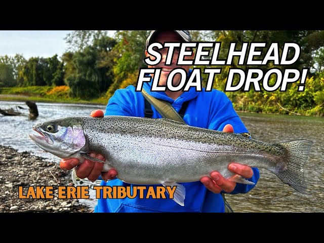 Erie Steelhead Float Drop! 