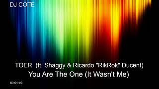 TOER (ft. Shaggy &amp; Ricardo &quot;RikRok&quot; Ducent) - You Are The One (It Wasn&#39;t Me) (DJ COTE Mix)