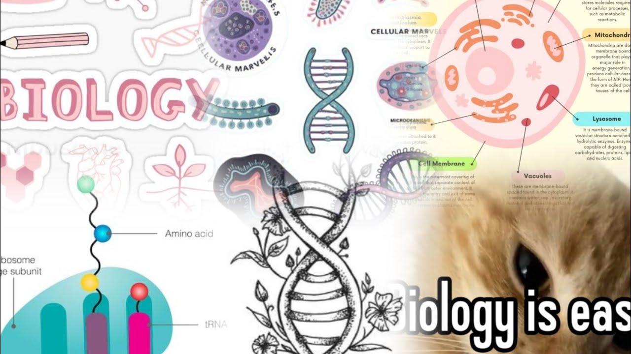 Cours 1 Biologie Cellulaire L1 🇩🇿 (بالإنجليزية) –Introduction à la Cellule