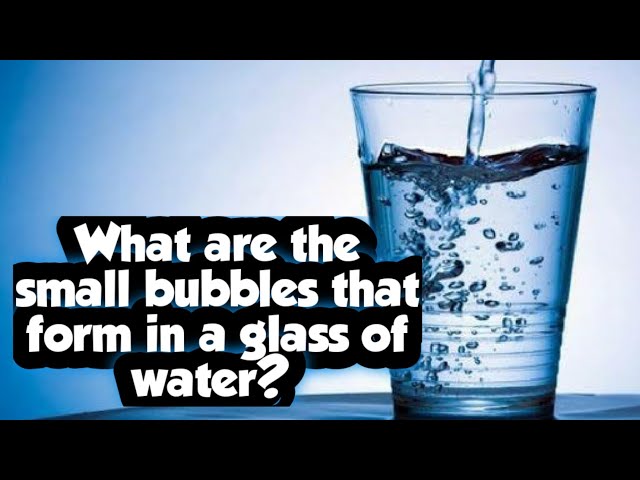 What are the small bubbles that form in a glass of water? - BBC