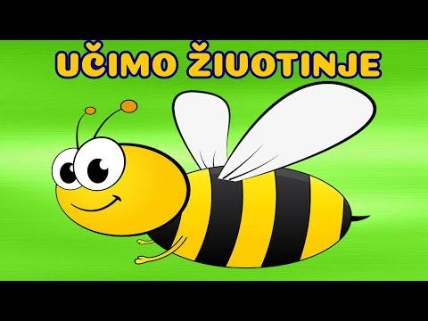 Video: Malo fizike u umjetnosti. Instalacija 