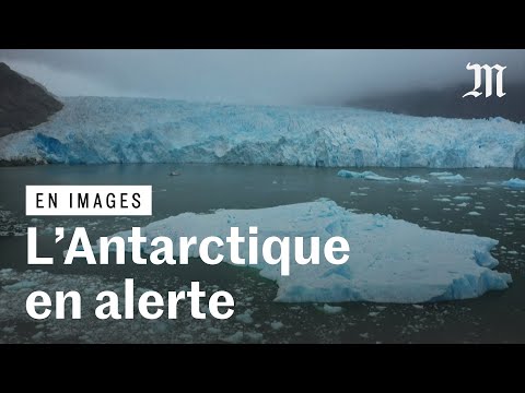 Les glaces de l'Antarctique fondent à leur tour : voilà pourquoi ça nous menace.