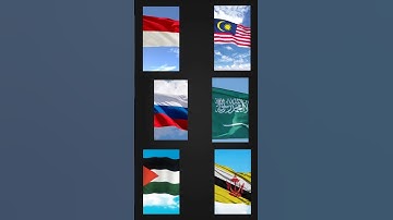 6 sekawan jedag jedug (indonesia malaysia arab saudi palestina rusia brunei darussalam)