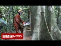 New video by BBC News on YouTube