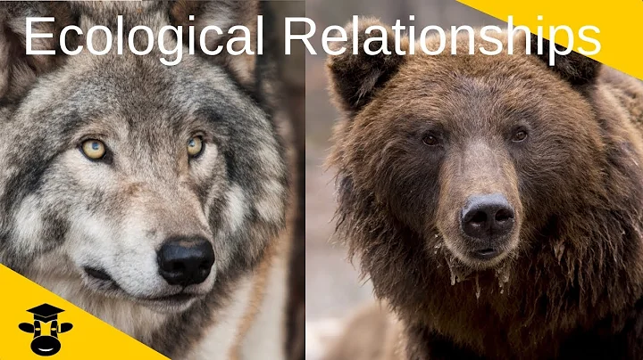 Ecological Relationships-Competition- Predator and Prey- Symbiosis