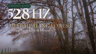 Scientists Discovered a Frequency That Puts You to Sleep in Minutes — 528 Hz Deep Healing Forest