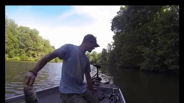 Fiesty 3lb bass