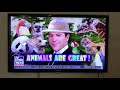 Animals are great greg gutfeld