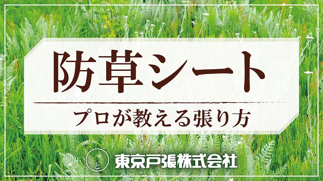 プロが教える!防草シートの張り方_東京戸張 - YouTube プロが教える!防草シートの張り方_東京戸張 - YouTube