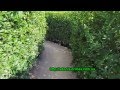 Никитский ботанический сад - Зеленый лабиринт