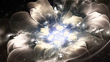 Bloom: Visualizing Model Training through Fractals