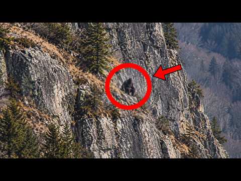 Man Flew Drone In Appalachian Mountains, But What He Recorded Shocked Everyone