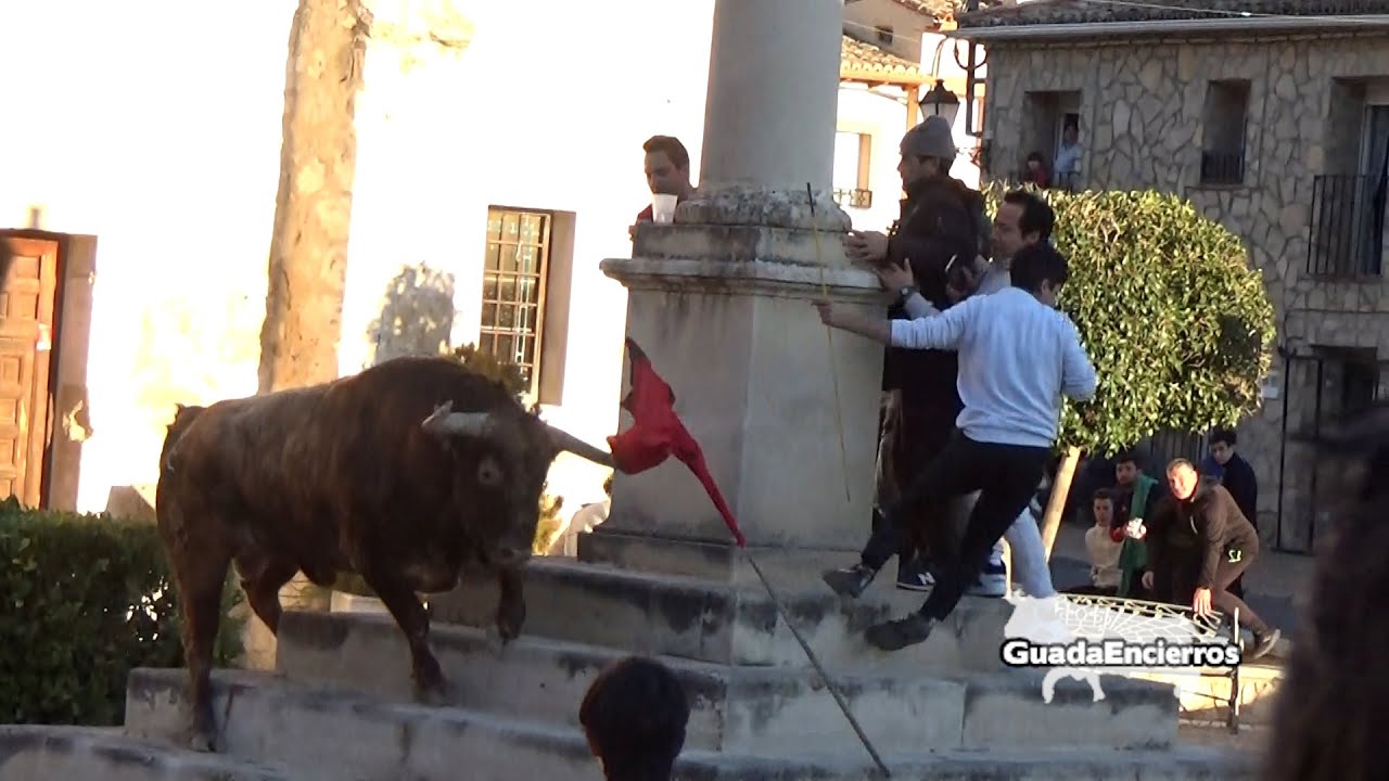 Encierro Calles de Hontoba 04-02-2023 Cuidado que sube  GuadaEncierros