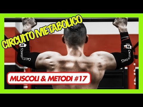 🔁CIRCUITO METABOLICO / HIIT PER UN SUPER METABOLISMO 🔥