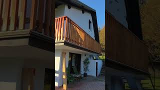 Siberian larch #fence tinted in teak