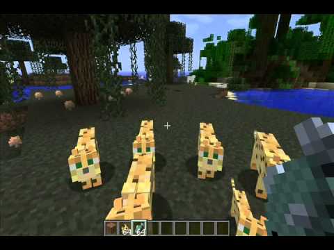 Como domesticar un gato en minecraft