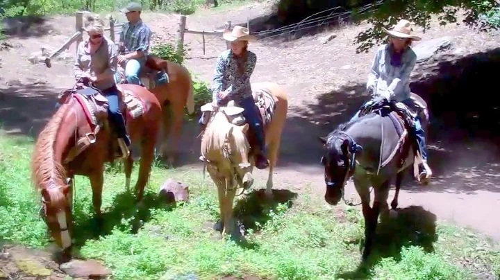 MTM Ranch Horseback Adventures on the Mogollon Rim