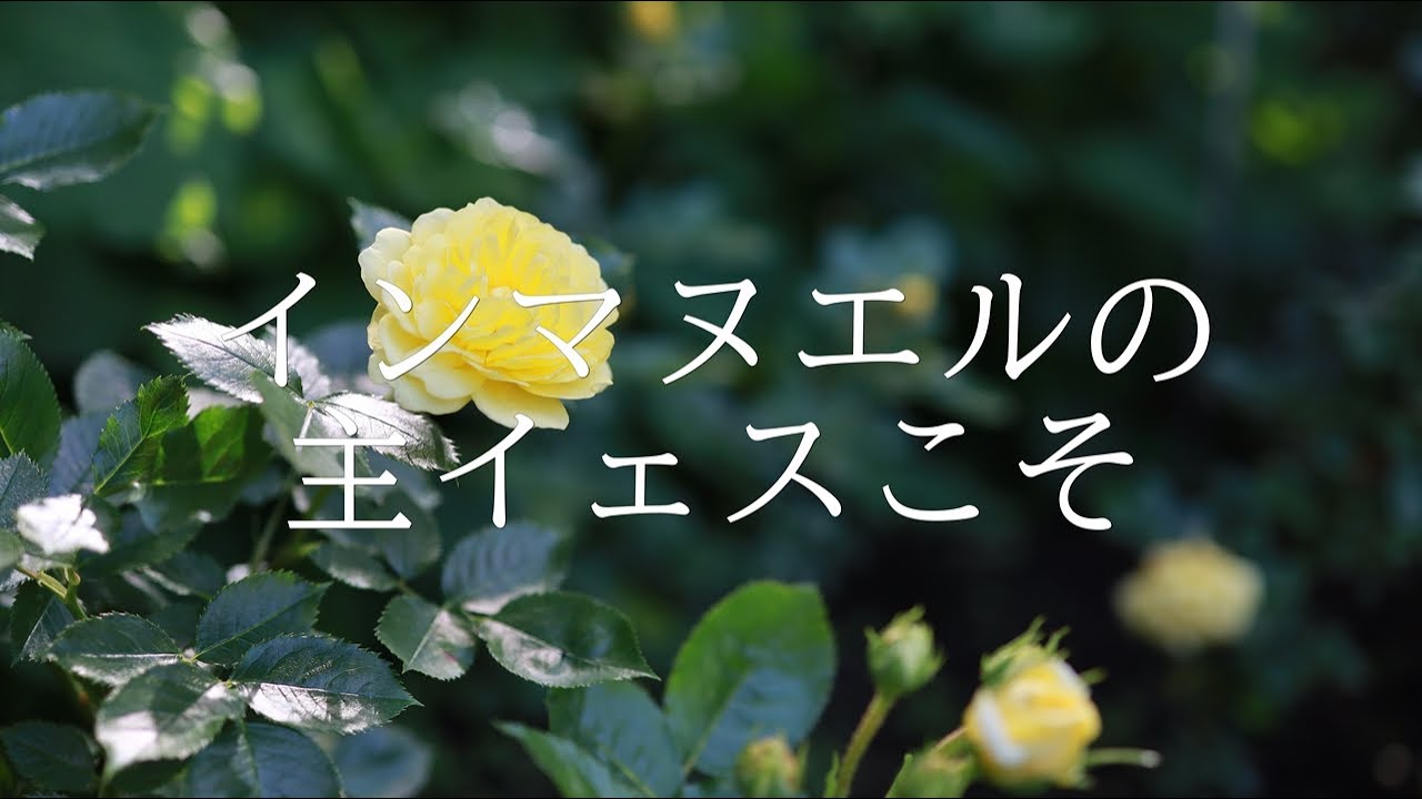 讃美歌21 356「インマヌエルの主イェスこそ」多重録音 - YouTube