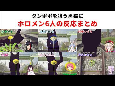 【タンポポは耐える。】タンポポを狙う黒猫に…ホロメン6人の反応まとめ【大神ミオ/兎田ぺこら/鈴鳴つづり/AZKi/さくらみこ/猫又おかゆ】