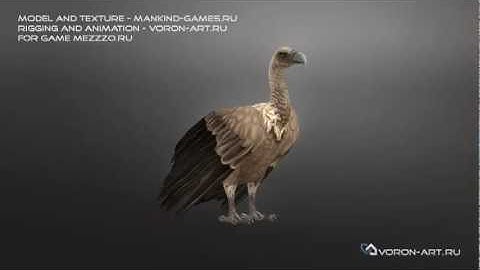 Vulture. 3d animation for game.