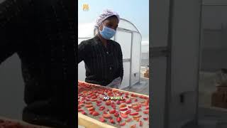 Rahejas Vision For Decentralized, Sustainable Food Processing In India