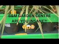 B&amp;M Plant Prices Wow 🤯 (part 1)