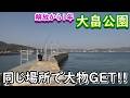 あれから１年　解放された大畠公園で　1年前と同じ釣りをしてみた！