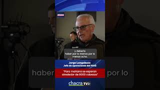 REALIDAD GANADERA - Jorge Longobuco (07-09-25)