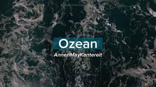 AnnenMayKantereit - Ozean // Lyrics (German, English, Spanish) Resimi
